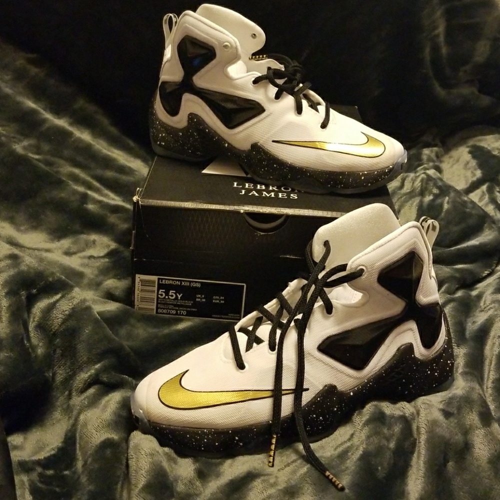 Nike LEBRON X111 (13's) GS